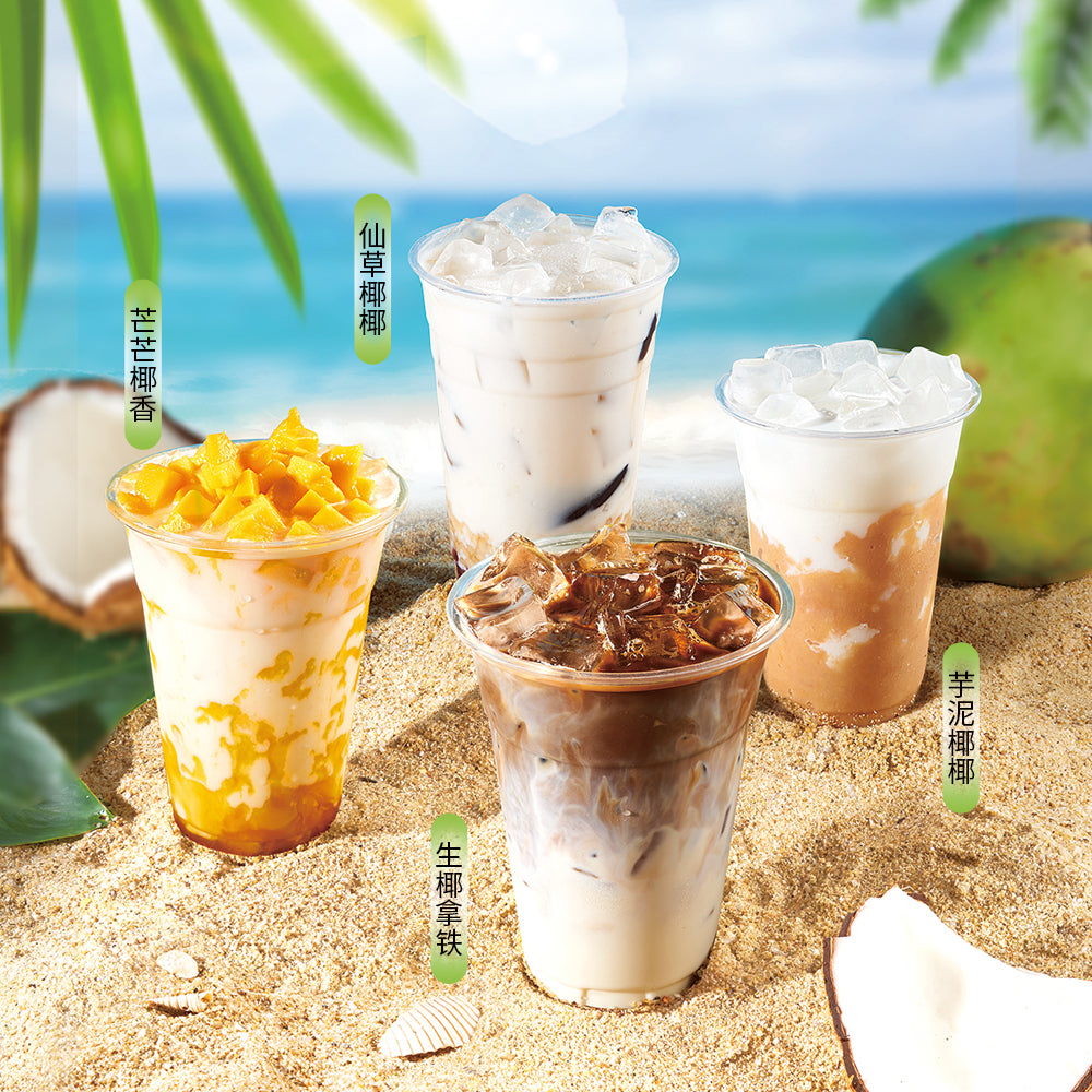 Coconut Powder 1kg